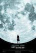 Lucy In The Sky